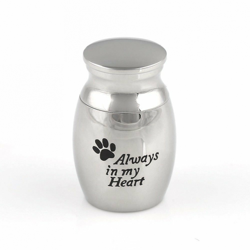 ashes jewellery stainless steel medium  mini urn always in my heart pet cat dog memorial